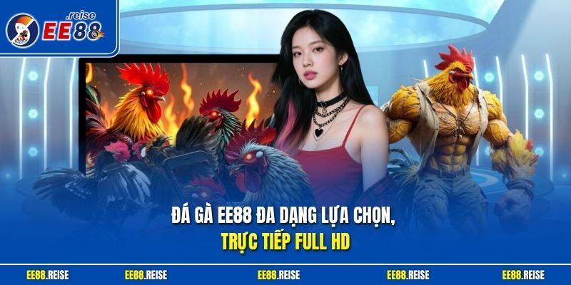 Đá gà EE88 đa dạng lựa chọn, trực tiếp full HD