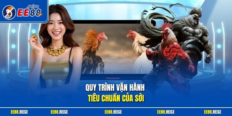 Quy trình vận hành tiêu chuẩn của sới